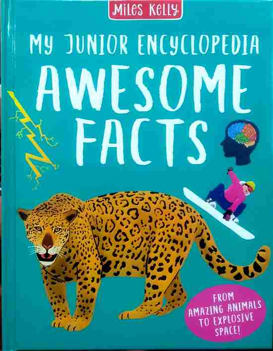 My Junior Encyclopedia: Awesome Facts Publisher: Miles Kelly (NOVEL)