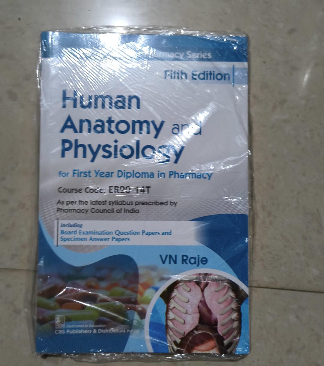 Human Anatomy and Physiology