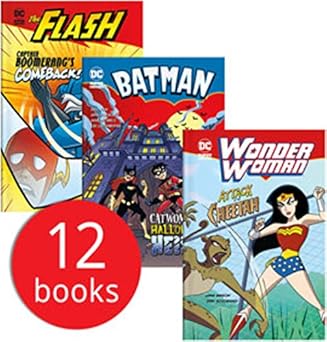 DC SUPER HEROES GRAPHIC NOVEL Publisher: Stone Arch Books, part of Capstone. (NOVEL)