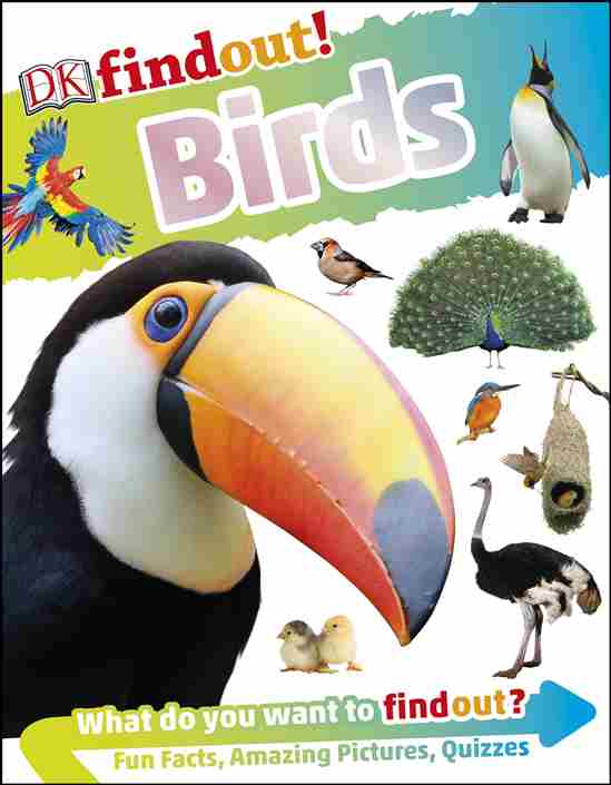 DK findout! Birds Publisher: DK Publishing (NOVEL)