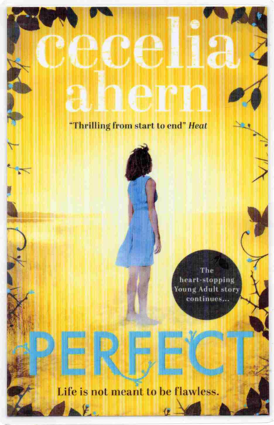Perfect   ✍️ Author: Cecelia Ahern (Novel)