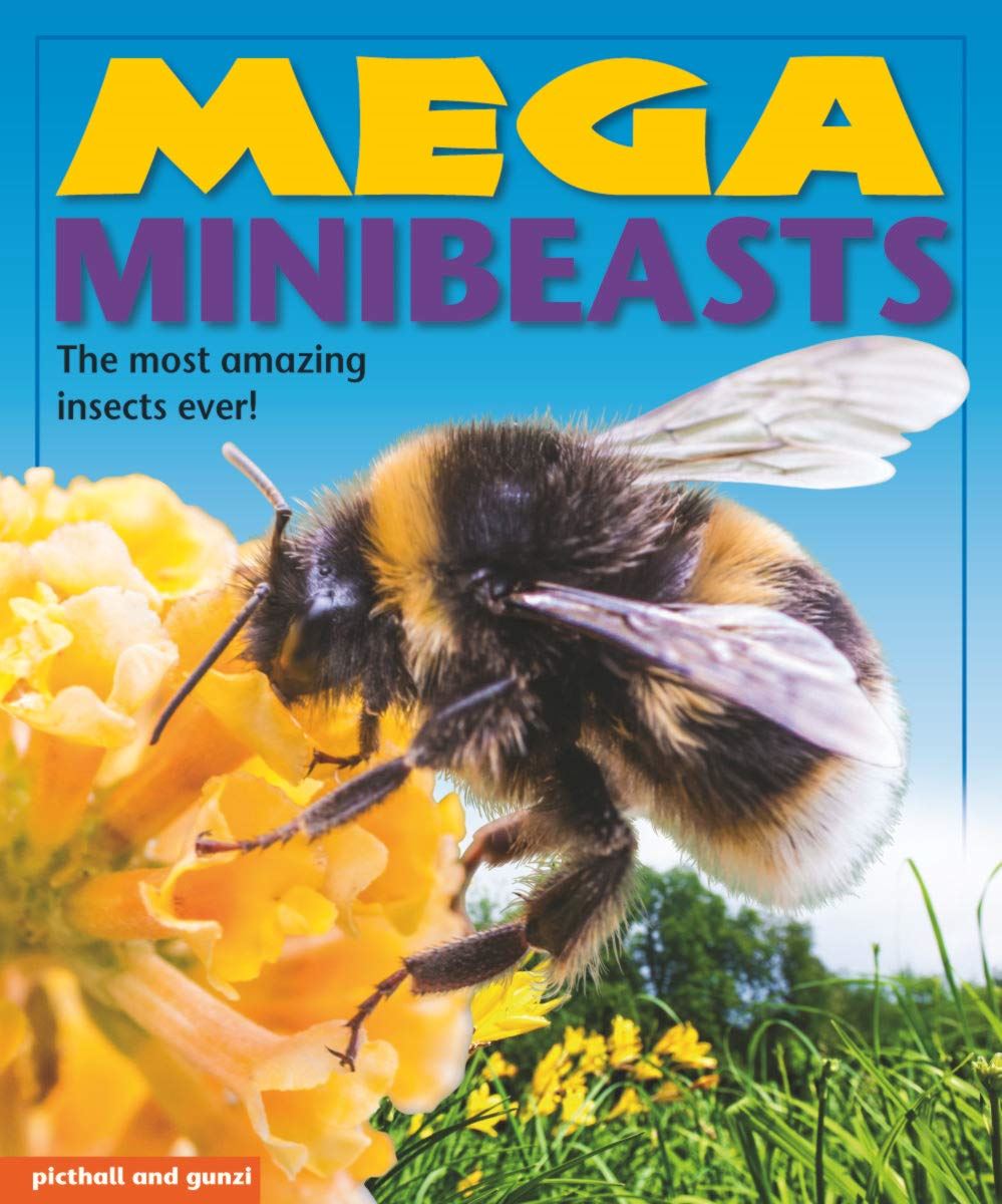 Mega Minibeasts  Subtitle: The most amazing insects ever!  Publisher: picthall and gunzi (NOVEL)