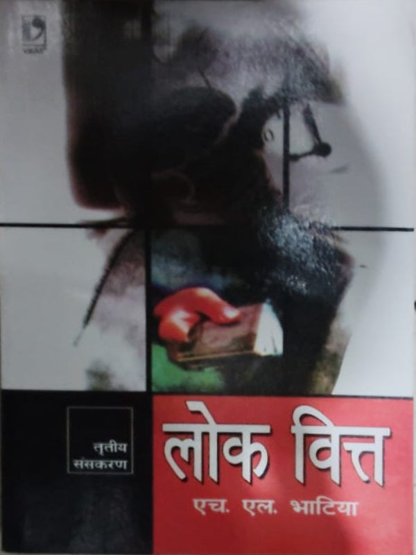 लोक वित्त