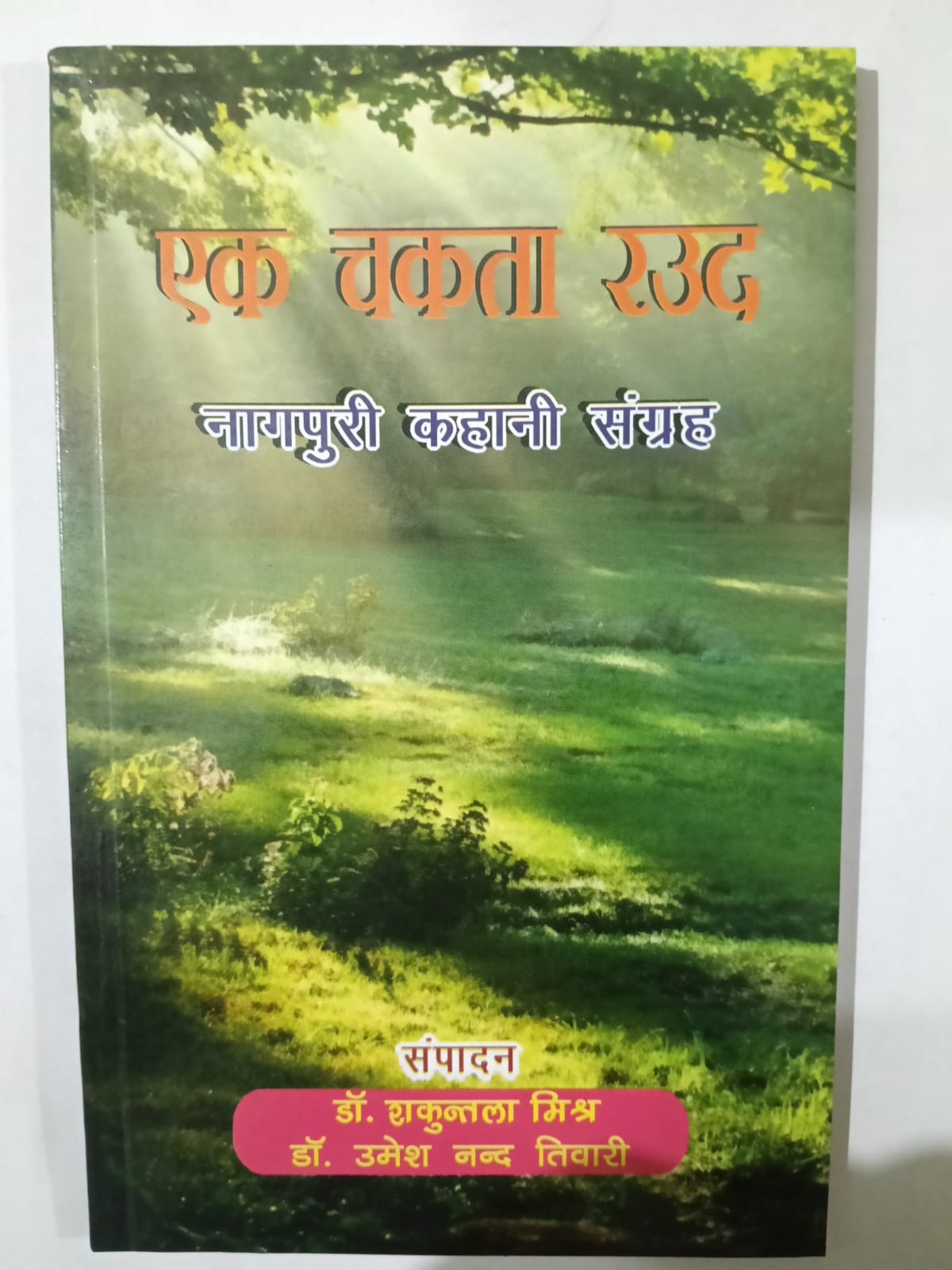 Ek Chakta Raud ( Nagpuri Kahani Sangrah) Author: Dr Shakuntala Mishra / Dr Umesh Nand Tiwari [ JPSC , JSSC , BA