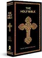 HOLY BIBLE (Novel)