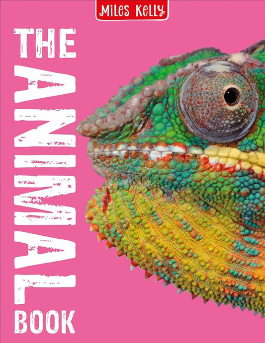The Animal Book Publisher: Miles Kelly – shown in the red banner at the top AUTHOR: MIDDLE (NOVEL)