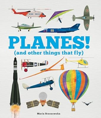 PLANES! (and other things that fly)  Author & Illustrator: Maria Brzozowska (NOVEL)